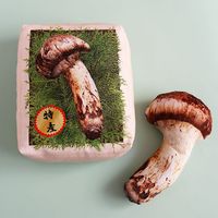 「おいしくてあやしい」キノコのパネルシーチングプリント_拡大イメージ