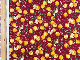 リスとあんずの北欧調シーチングプリントレッド