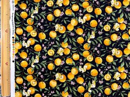 リスとあんずの北欧調シーチングプリントブラック