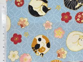 「百華繚蘭」丸まって眠る猫と梅ライトブルー