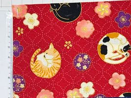 「百華繚蘭」丸まって眠る猫と梅梅レッド