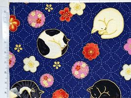 「百華繚蘭」丸まって眠る猫と梅ネイビー