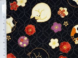 「百華繚蘭」丸まって眠る猫と梅ブラック