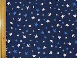 スタンダードスターのナイロンオックスプリントネイビー