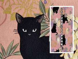 「百華繚蘭」 黒ネコと藤の花ピンク