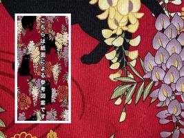 「百華繚蘭」 黒ネコと藤の花レッド