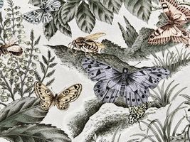 『nora.』シーチングプリント「Lepidoptera」_拡大イメージ