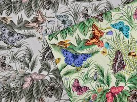 『nora.』シーチングプリント「Lepidoptera」_拡大イメージ