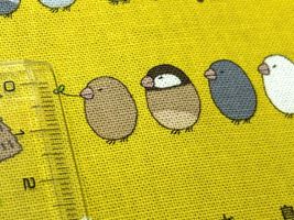 コットンこばやし キャンバスプリント「米文鳥」_拡大イメージ