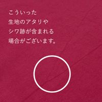 【現品限り特価】一期一会の天日干しカツラギワッシャー_拡大イメージ