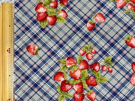 シーチングプリント un/no「Strawberry Antiquecheck」_拡大イメージ