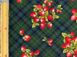 シーチングプリント un/no「Strawberry Antiquecheck」グリーン