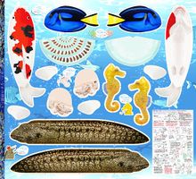 ゆかいな水の仲間たちのパネルシーチングプリントコイ