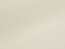 Exclusive Collection 天日干しポプリン無地「バオム」オフ白