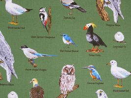 コットンこばやし 鳥達のツイルプリントグリーン