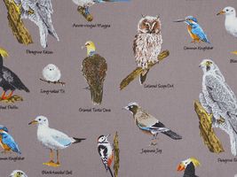 コットンこばやし 鳥達のツイルプリントグレー