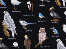 コットンこばやし 鳥達のツイルプリントブラック