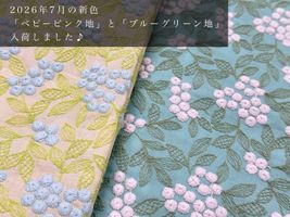 Exclusive Collection 特別な木の実刺しゅうのコットンローンレース_拡大イメージ