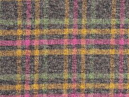 Exclusive Collection 3つ杢コットンツイードマルチ/チェック