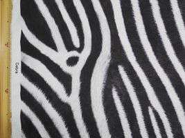 【現品限り特価】リアルなアニマルシーチングプリントシマウマ