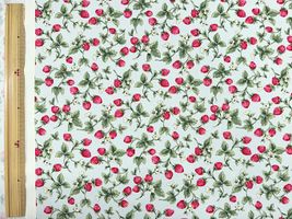 コットンこばやしツイルプリント「使いやすいイチゴ」ペールブルー