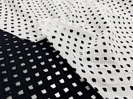 【現品限り特価】Exclusive Collection コットンエンブロイダリーレース_拡大イメージ