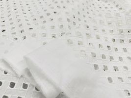 【現品限り特価】Exclusive Collection コットンエンブロイダリーレース_拡大イメージ