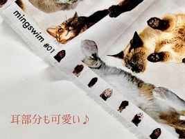 『mingswim(ミンスイ)』猫のいる暮らし_拡大イメージ