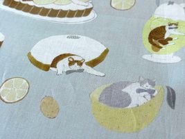 トビマツショウイチロウ「猫とレモンスイーツ」_拡大イメージ