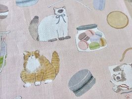 トビマツショウイチロウ「猫とマカロン」_拡大イメージ