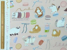 トビマツショウイチロウ「猫とマカロン」マカロン