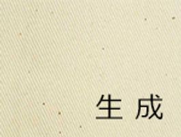オリジナル チノクロス無地生成(綿かす残し)
