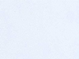 オリジナル チノクロス無地白