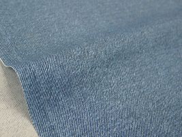 オックスプリント 「ベーシックデニム」明るい青