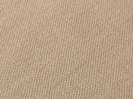 大人の11号はんぷ無地「富士金梅」ベージュ