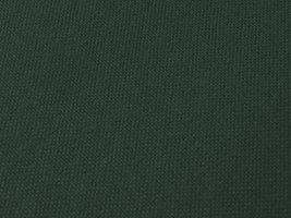 大人の11号はんぷ無地「富士金梅」濃グリーン