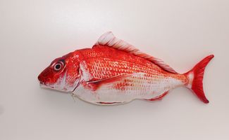 鮮度抜群！お魚屋さんのパネルシーチングプリント_拡大イメージ