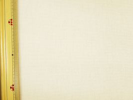 大人の綿麻キャンバス無地オフホワイト