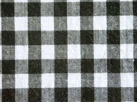 サンドウォッシュ ギンガムチェック(約７mmチェック)ブラック