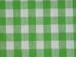 サンドウォッシュ ギンガムチェック(約７mmチェック)グリーン
