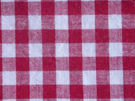 サンドウォッシュ ギンガムチェック(約７mmチェック)レッド