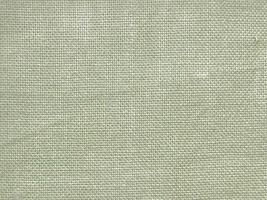 くすみかわいいシーチング無地ミストグリーン