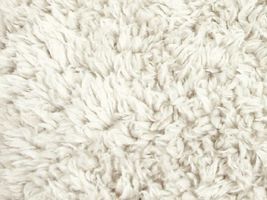 ふかふかプードルファーホワイト