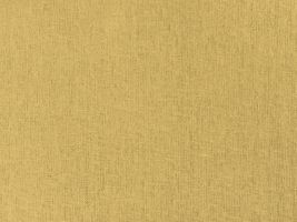 大人の綿麻キャンバス無地ストローイエロー