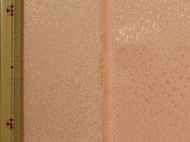 ポリエステル ジャガードサーモン