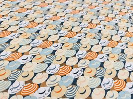 USAコットンシーチングプリント「Sun Hats」_拡大イメージ