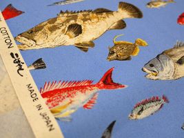 コットンこばやし 魚類のツイルプリント明るい青