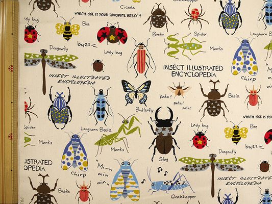コットンこばやし 昆虫図鑑のツイルプリント