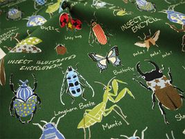 コットンこばやし 昆虫図鑑のツイルプリント緑