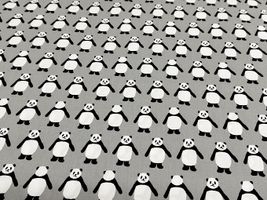 my piece of fabric ブロードプリント「こっちむいてPANDA」_拡大イメージ